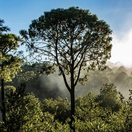 ホテル Bosque Escondido マサミトラ エクステリア 写真