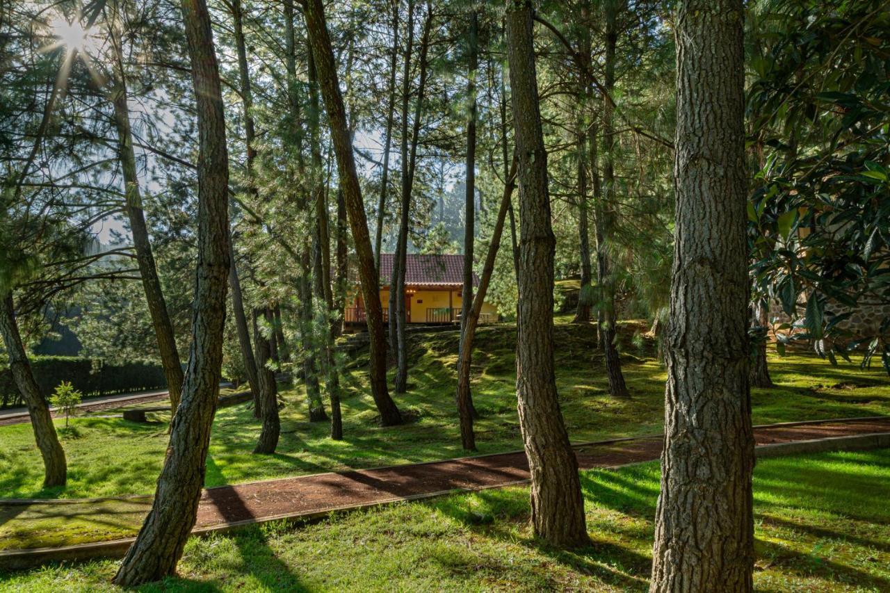 ホテル Bosque Escondido マサミトラ エクステリア 写真